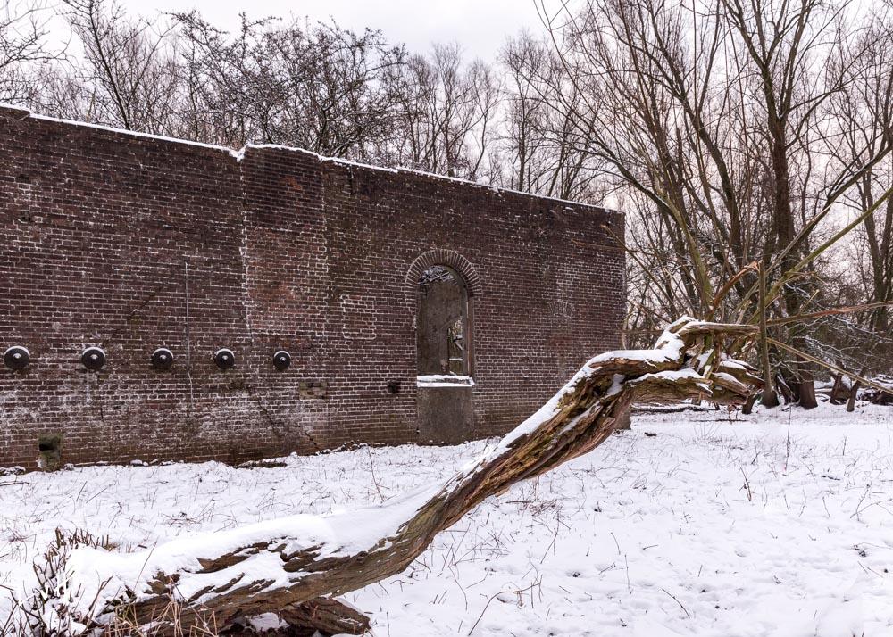 Blauwekamer winter 11