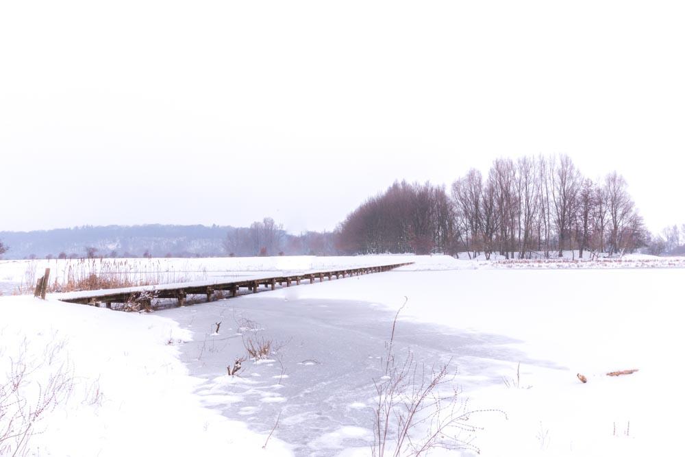 Blauwekamer winter 7