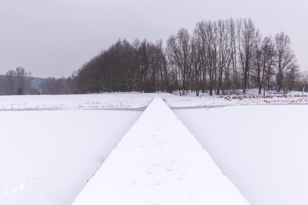 Blauwekamer winter 9