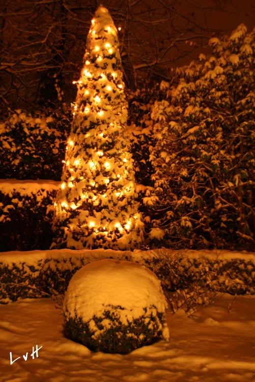 Tuin Kerst 2015