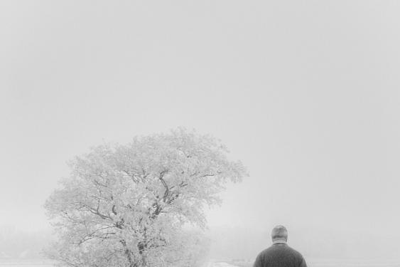 Alblasserwaard 2007 4