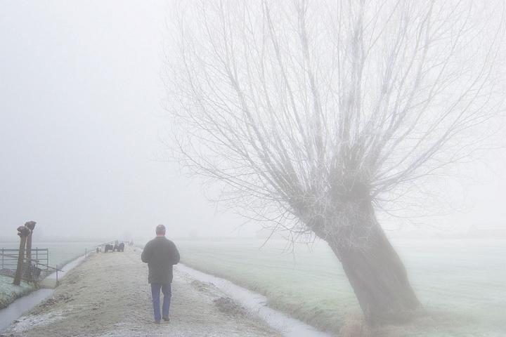 Alblasserwaard 2007 1