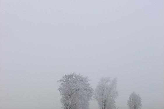 Alblasserwaard 2007 3