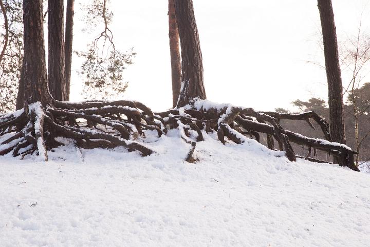 Henschotemeer 2017 5