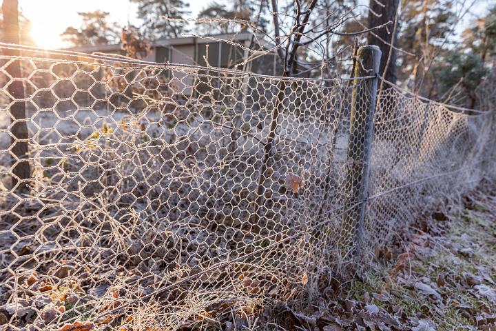 Henschotemeer dec. 2016 1