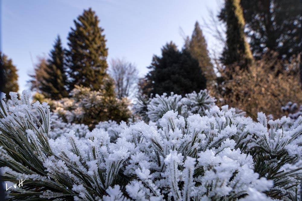 Von Gimborn Arboretun Doorn 11