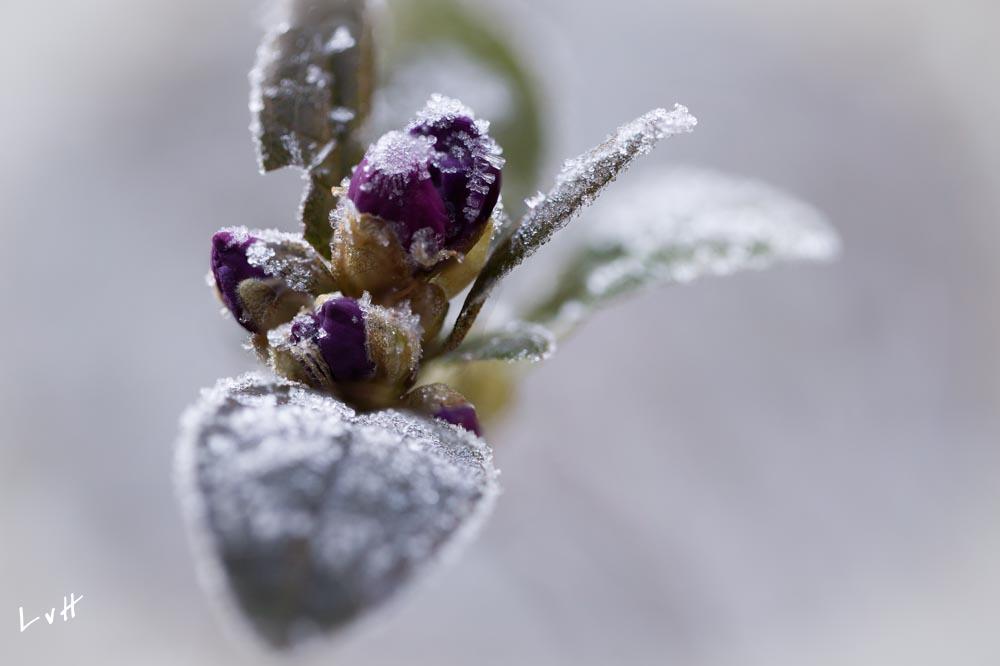Von Gimborn Arboretun Doorn 14