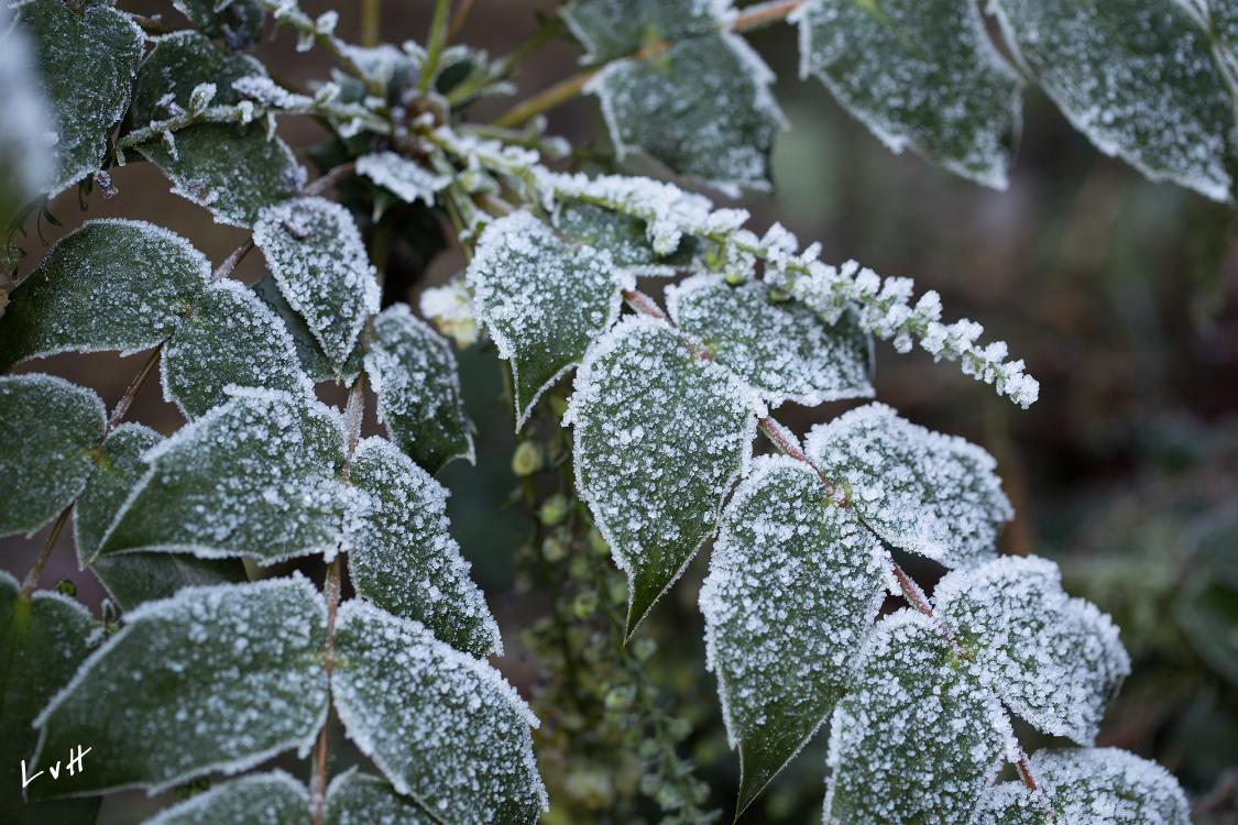 Von Gimborn Arboretun Doorn 3