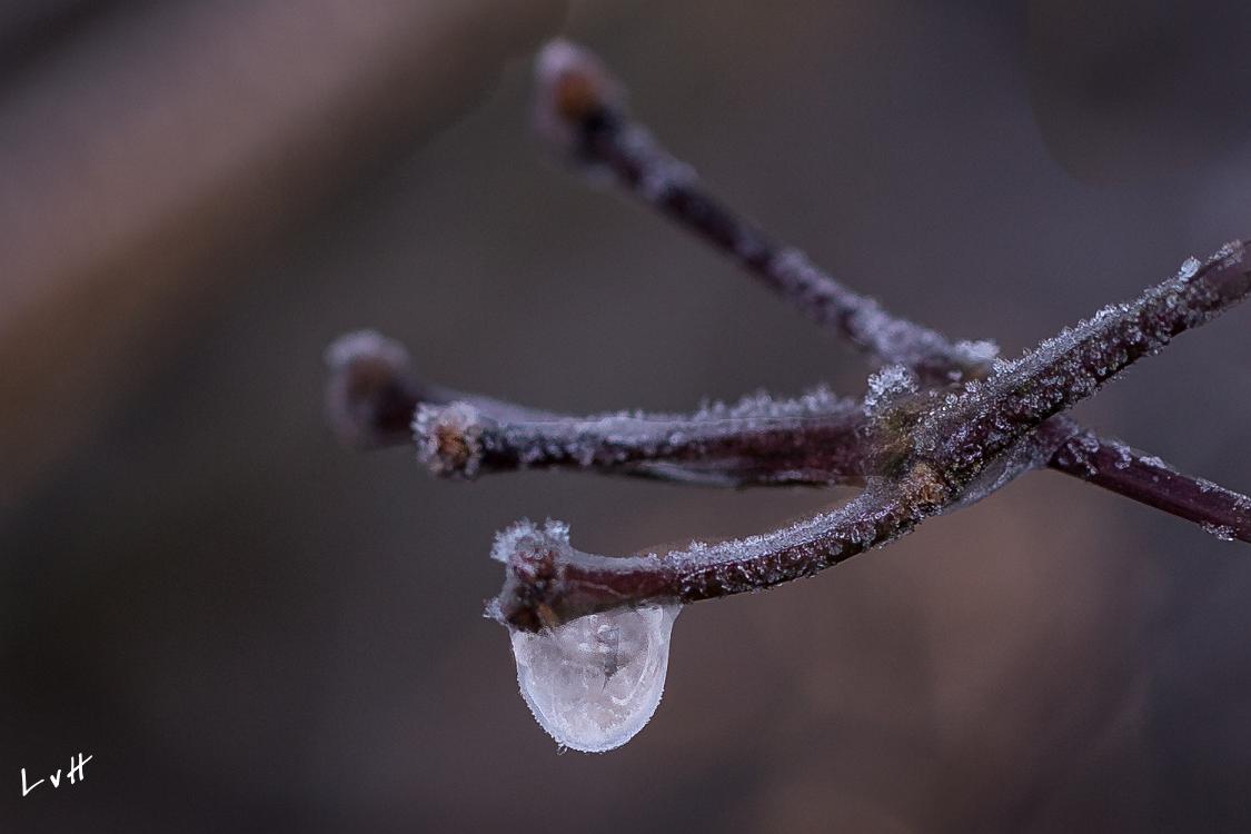 Von Gimborn Arboretun Doorn 7