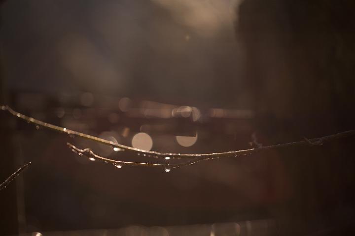 Von Gimborn Arboretun Doorn 10