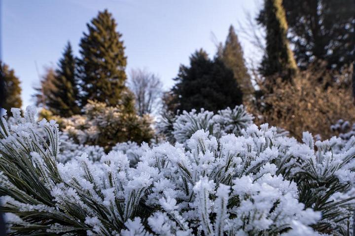 Von Gimborn Arboretun Doorn 11