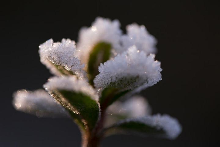 Von Gimborn Arboretun Doorn 12