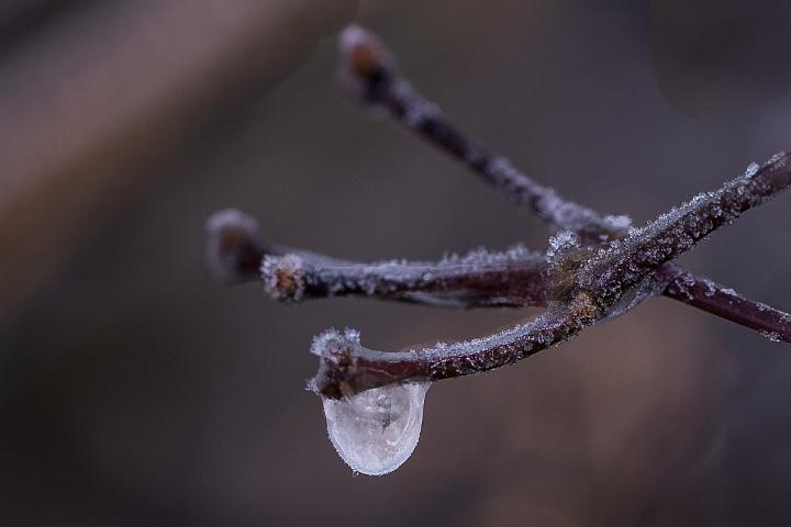 Von Gimborn Arboretun Doorn 7
