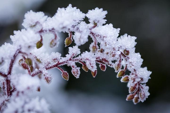 Von Gimborn Arboretun Doorn